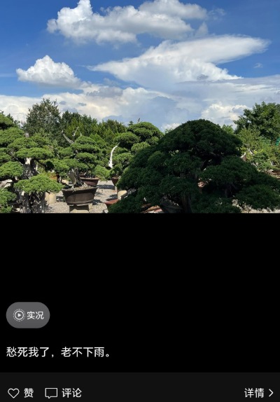 美股之家股票配资 受“丹娜丝”外围影响 合肥部分地区风雨交加  _大皖新闻 | 安徽网